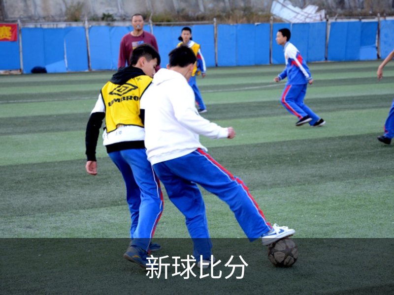 了解新球比分